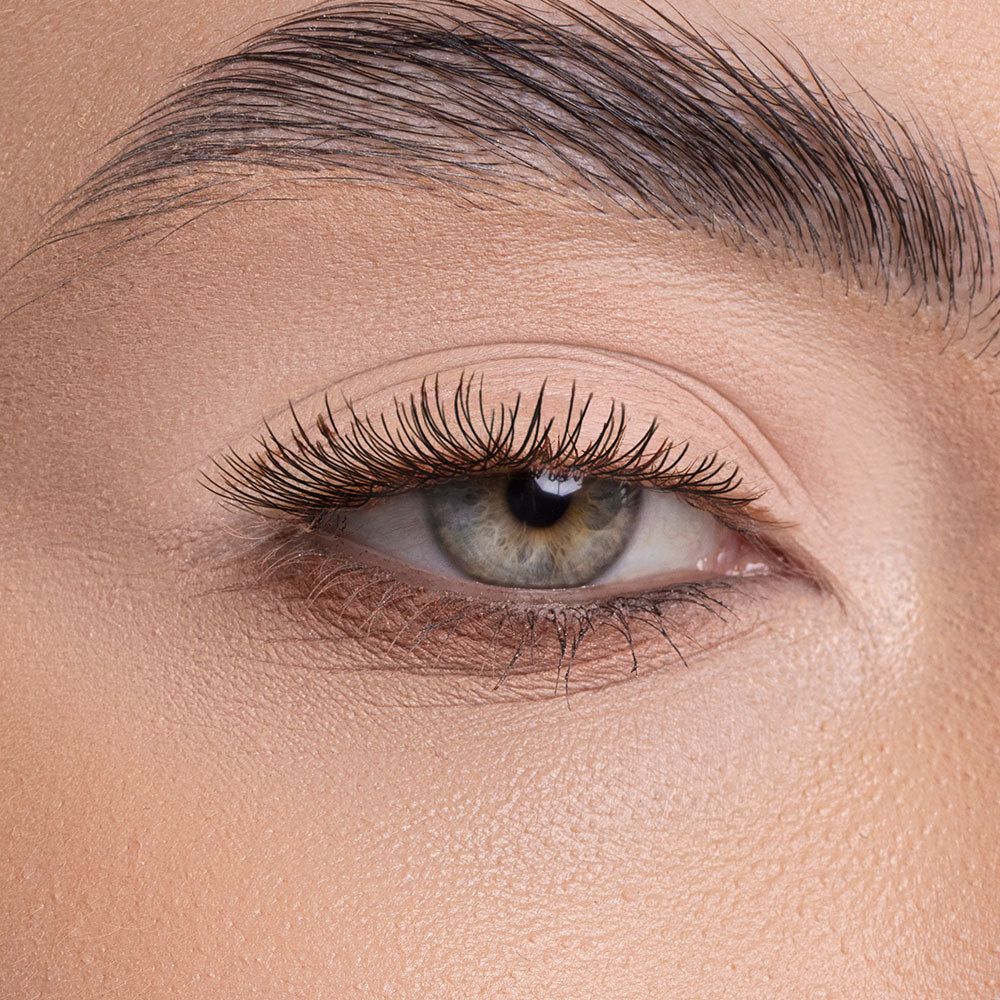 DAILY WINK MATTE